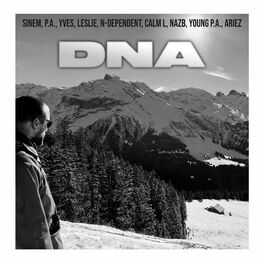 Album cover of DNA (feat. SINEM, P.A., YVES, LESLIE, N-DEPENDENT, CALM L, YOUNG P.A. & ARIEZ)