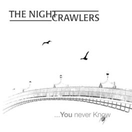Album cover of ...You Never Know