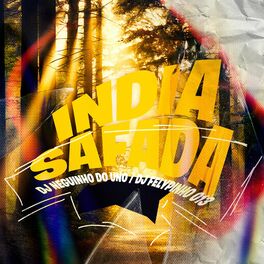 Album cover of India Safada