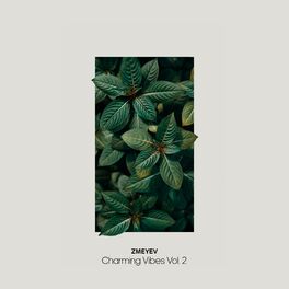 Album cover of Charming Vibes, Vol. 2