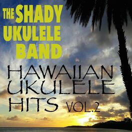 Album cover of Hawaiian Ukulele Hits Vol.2