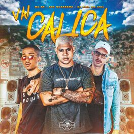 Album cover of Vai Calica