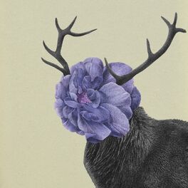 Album cover of Deer Hana