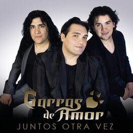 Album cover of Juntos Otra Vez
