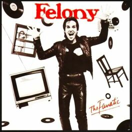 Album cover of The Fanatic