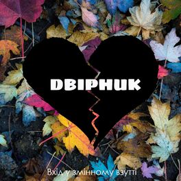 Album cover of Двірник
