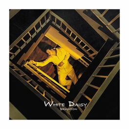 Album cover of White Daisy