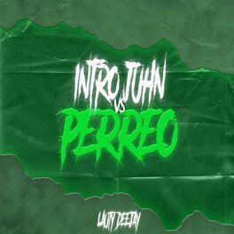 Album cover of INTRO JHUN VS PERREO
