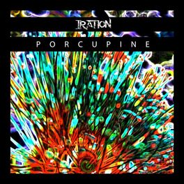 Album cover of Porcupine - Single