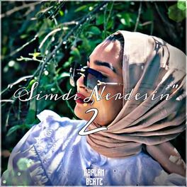 Album cover of Ah Şimdi Nerdesin 2 (feat. Ferhat Tunç) [Mix]