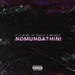 Album cover of Nomungathini