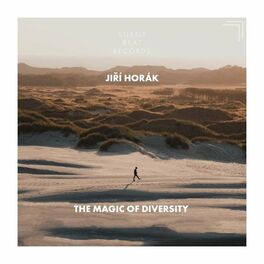 Album cover of The Magic of Diversity