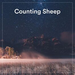 Album cover of Counting Sheep - Sleep Music