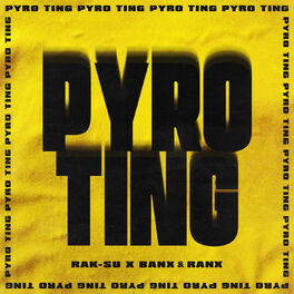 Album cover of Pyro Ting