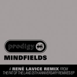 Album cover of Mindfields (René LaVice Remix)