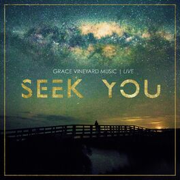 Album cover of Seek You (Live)