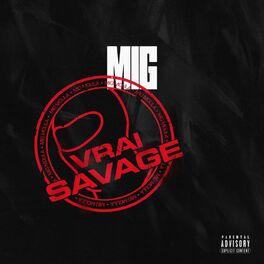 Album cover of Vrai Savage