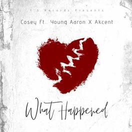 Album cover of What Happened (feat. Young Aaron & Akcent)