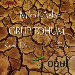 Album cover of Oğul