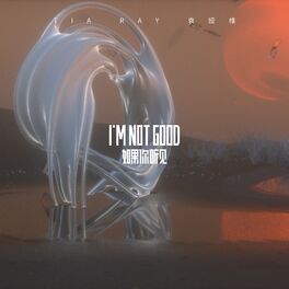 Album cover of I'M NOT GOOD