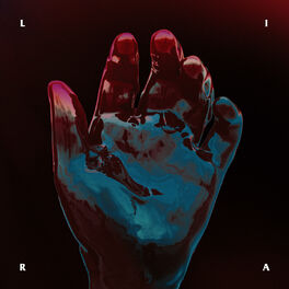 Album cover of O Labirinto e o Desmantelo