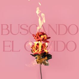 Album cover of Buscando El Olvido