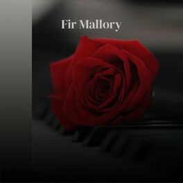 Album cover of Fir Mallory