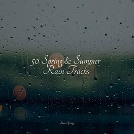 Album cover of 50 Spring & Summer Rain Tracks