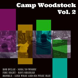 Album cover of Camp Woodstock, Vol. 2
