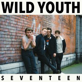 Album cover of Seventeen
