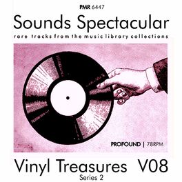 Album cover of Vinyl Treasures, Series 2, Volume 8