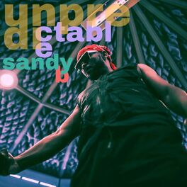 Album cover of Unpredictable