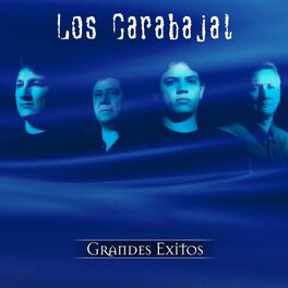 Album cover of Serie De Oro