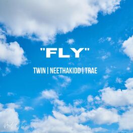 Album cover of FLY (feat. XnTwin, NeeThaKidd & Trae)