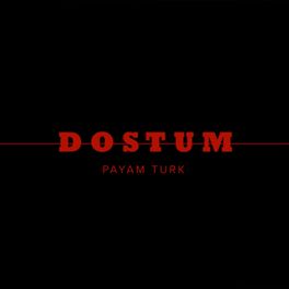 Album cover of Dostum