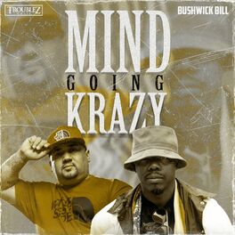 Album cover of Mind Going Krazy