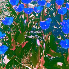 Album cover of Truly Truly
