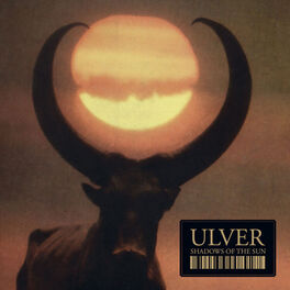 Album cover of Shadows of the Sun