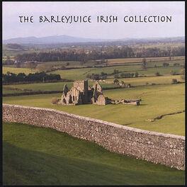 Album cover of The Barleyjuice Irish Collection