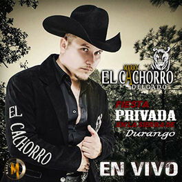 Album cover of Fiesta Privada En La Sierra de Durango (En Vivo)