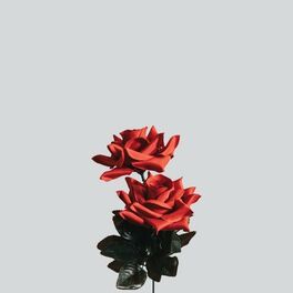 Album cover of roses