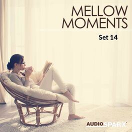Album cover of Mellow Moments, Set 14