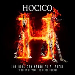Album cover of Los Días Caminando En El Fuego