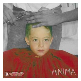 Album cover of ANIMA