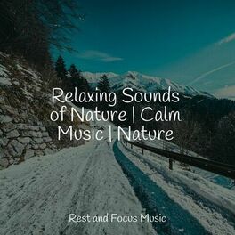 Album cover of Relaxing Sounds of Nature | Calm Music | Nature
