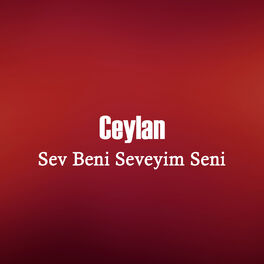 Album cover of Sev Beni Seveyim Seni