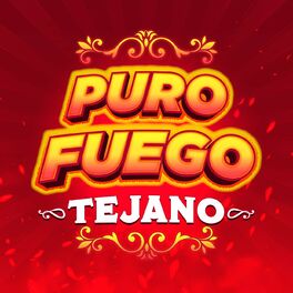 Album cover of Puro Fuego - Tejano