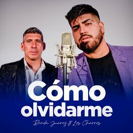 Album cover of Como Olvidarme