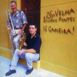 Album cover of Só Gafieira