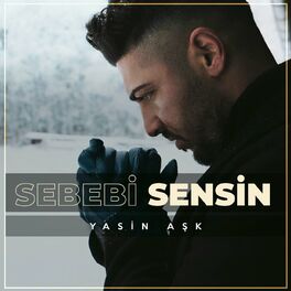 Album cover of Sebebi Sensin